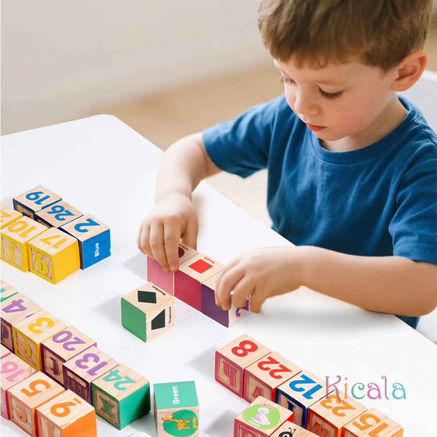 Montessori Wooden Number Block - Kids Education Number review and price